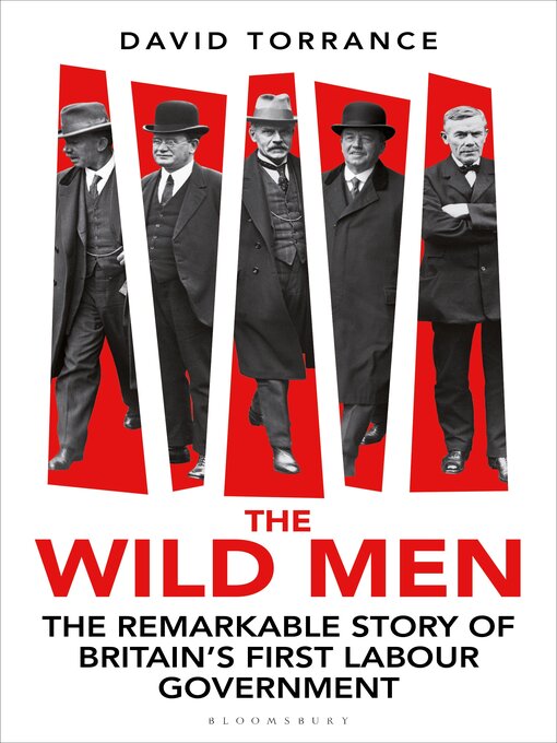 Title details for The Wild Men by David Torrance - Wait list